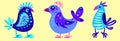 Illustration of three fairy blue bird