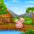 Three little pigs are playing beside lake Royalty Free Stock Photo