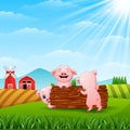 Three little pigs playing logs at hills