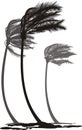 Palms in the wind Royalty Free Stock Photo