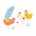 Illustration of three poultry. Chicken on the farm.