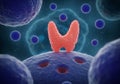 Illustration of the thyroid gland and thyroglobulin molecules Royalty Free Stock Photo