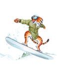 An illustration of a tiger-athlete in the mountains on a snowboard takes off in the air with watercolors and colored pencils