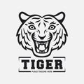 Tiger head mascot on white background Royalty Free Stock Photo