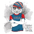 Illustration of tiger hipster dressed up in the glasses and in the t-shirt with print of USA flag. Vector illustration.