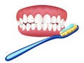 Illustration of tooth model and toothbrush Royalty Free Stock Photo