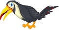 Toucan bird cartoon flying for you design Royalty Free Stock Photo