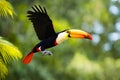 Illustration of toucan flying in the forest, green vegetation.