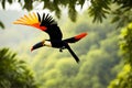 Illustration of toucan flying in the forest, green vegetation.