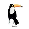 Illustration with toucan - tropic bird. Cartoon character