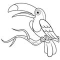 Toucans bird cartoon line art