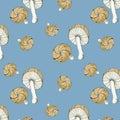 Illustration toxic mushrooms with brown cap on blue background