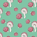 Illustration toxic mushrooms with red cap on blue background