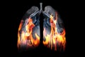 Illustration of a toxic smoke and flame fire formation shaped as the human lung, The concept of cigarette smoker lungs on black