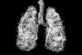 Illustration of a toxic smoke in Lung . lung cancer concept Royalty Free Stock Photo