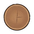 The growth rings are thin and evenly spaced representing years of growth Royalty Free Stock Photo