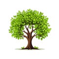 Illustration Tree on white background. Collection of design elements. Generative Ai Royalty Free Stock Photo
