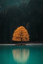 Illustration of a tree with yellow leaves in front of a serene lake, reflecting the tree's image. Royalty Free Stock Photo