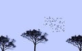 Illustration of trees and flying birds flock against clear sky in blue. Migrating birds concept.