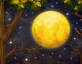 Illustration Of Trees And Full Moon With Stars At Night Sky