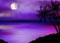 Illustration of tropical beach at night Royalty Free Stock Photo