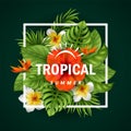 Tropical flowers and leaves. Summer time Royalty Free Stock Photo