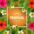 Tropical flowers and leaves. Summer time Royalty Free Stock Photo