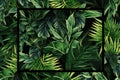 Tropical leaves background with frame