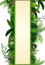 Tropical leaves background. Rectangle plants frame bamboo with space for text. Tropical foliage with vertical banner