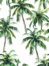 Illustration of a tropical palm tree pattern drawn with watercolors. Royalty Free Stock Photo