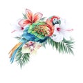 Illustration with tropical parrot and flowers. Hibiscus. Palm. Orchid. Watercolor illustration. Hand drawn