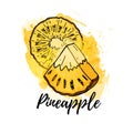 Illustration of tropical pineapple fruit. Vector watercolor background. Graphics for cocktails, fresh juice design Royalty Free Stock Photo