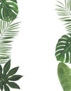 Tropics Watercolor illustrations Botanical decorations Decoration Postcard Invitation design decoration congratul