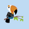 Illustration of Tukan Toco Bird Cartoon, Cute Funny Character, Flat Design