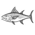 Illustration of tuna fish in engraving style. Design element for logo, label, sign, poster, t shirt. Royalty Free Stock Photo