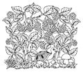 Illustration, a turtle in a clearing among the raspberry bushes. Coloring book. Antistress for adults and children. The work was d