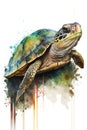 Illustration turtle in watercolor. Animal on a white background, generative AI Royalty Free Stock Photo