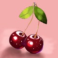 illustration of two delicious ripe juicy moist cherries on a branch with two leaves on a pink background Royalty Free Stock Photo