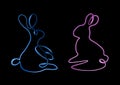 illustration of two different silhouettes of bunnies.