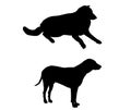 illustration. Two dogs silhouette, adult, black color, white background