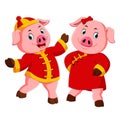 Two excited pink pigs use the red costume for celebrate chinese new year