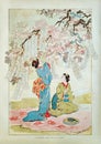 Old illustration of two geisha under a cherry tree