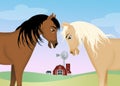 Two horses on the farm Royalty Free Stock Photo