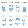 Illustration with types of swimsuites inside. Every type has name. For beauty and fashion style