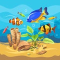 Vector ocean world. Exotic seascape with fish, seaweeds, corals and seashells. Colorful background for your design. Royalty Free Stock Photo