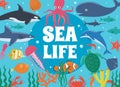 Sea life. Underwater world with sea creatures