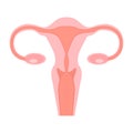 Illustration of vagina in flat style. Design element for poster, card, banner, infographic.