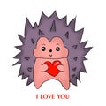 Valentine`s day card with cute hedgehog Royalty Free Stock Photo