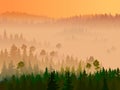 Illustration of valley with coniferous wood. Royalty Free Stock Photo