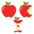 Illustration Of Various Apple Shapes